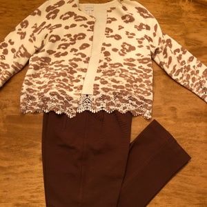 Chico's Animal Print Sweater EUC Size 1